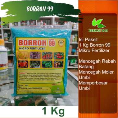Borron Blue 99 1 Kg Pupuk Boron Murni