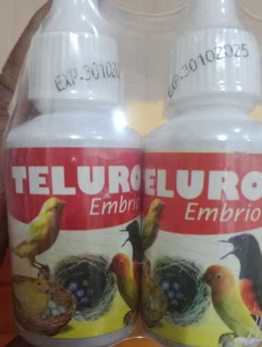 TELURO EMBRIO SUPER KICAU VITAMIN BURUNG MERANGSANG BIRAHI