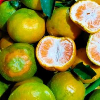 Jeruk Keprok Malang Buah Segar Ibaza fruitsBOX - 1kg Buah Jeruk Keprok Malang/ Jeruk Keprok Bali
