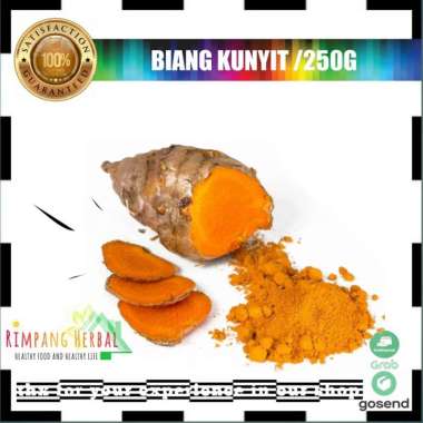 biang kunyit / biang kunyit segar 1 KG