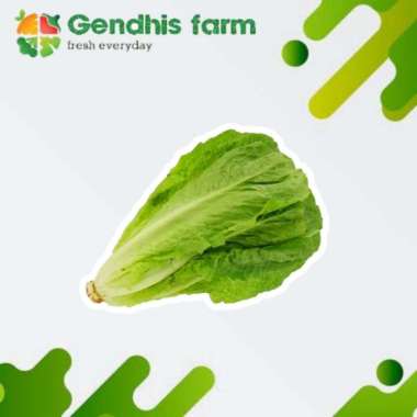 Romaine Lettuce [250 gr]