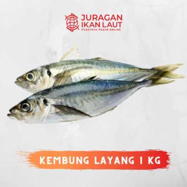 Ikan Kembung Layang Segar - 1 Kilogram JABODETABEK