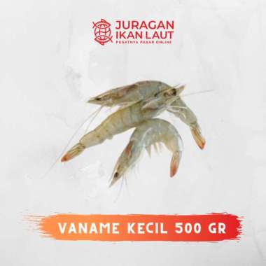 Udang Vaname Kecil Segar Berkualitas - 500 Gram