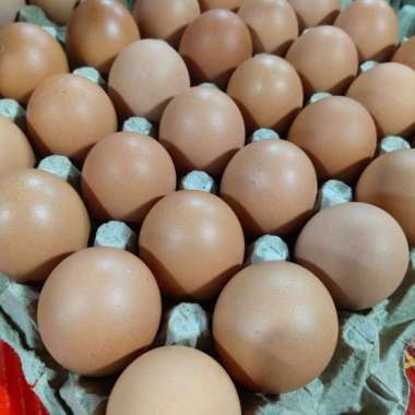 telur ayam negeri. kecil