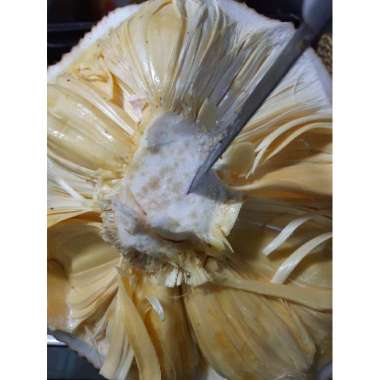 Nangka Kupas Biji/kg