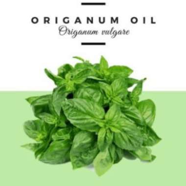 minyak essensial oil origanum 1000 ml murni minyak oregano atsiri 100%