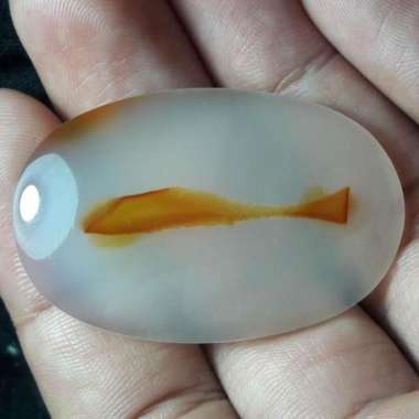 Akik Natural Batu Kristal Motif Gambar Ikan Hias Sapu2 Albino Antik