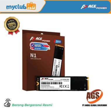 Ace Power SSD N1 NVMe 2280 GEN 3 x 4 256GB VL