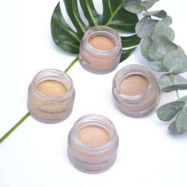 Ranee Cover Foundation 15G Ivory