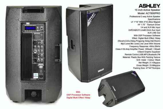 Speaker Aktif Ashley ACT600PRO Original 15inch