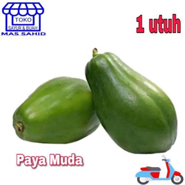 Paya Serut Pepaya Muda Serut Panjang 250 Gram