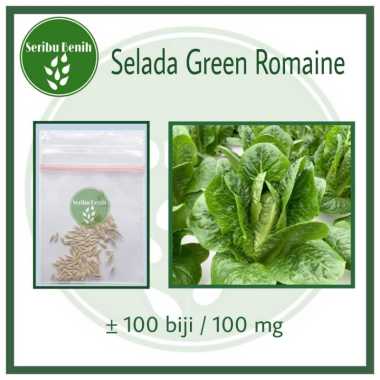 100 Benih Selada Green Romaine - Bibit Sayuran Lettuce Romain Hijau Letuce Known You Seed