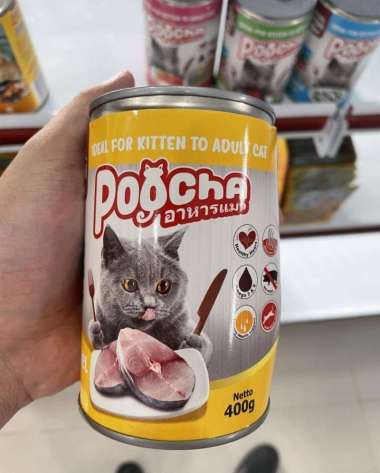 POOCHA Kaleng 400 Gram Makanan Basah Kucing Wet Food Cat Food Basah 490 - PCHA Mackarel