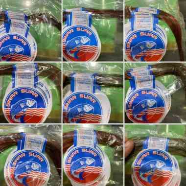 SENAR PANCING MURAH PELANGI DAN BIRU 1 - 40 15 Pelangi