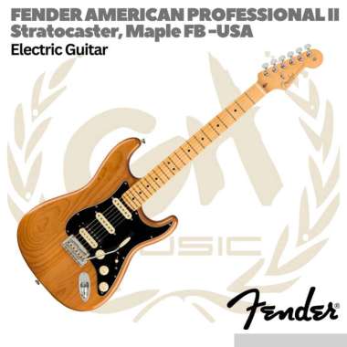Fender American Professional II HSS Stratocaster Electric Guitar Maple Roasted Pine