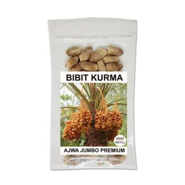 Bibit Kurma Ajwa Premium 100pcs / Kurma Ajwa Jumbo / Benih Ajwa Unggul