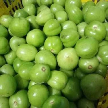 Tomat Hijau 1 kg