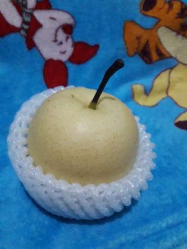 Buah Pear Century
