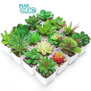PlusOne - Tanaman Kaktus Palsu Imitasi Plastik Mini Hiasan - HU9-2602 warna KAKTUS NO.1