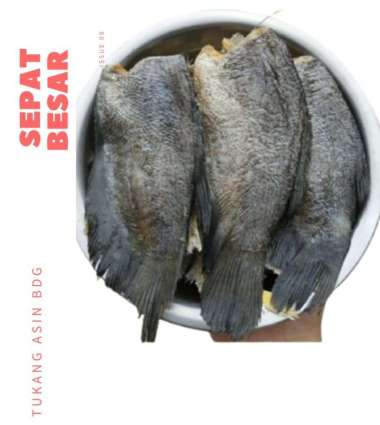 IKAN ASIN SEPAT JUMBO BANGKOK/THAILAND 500 gram