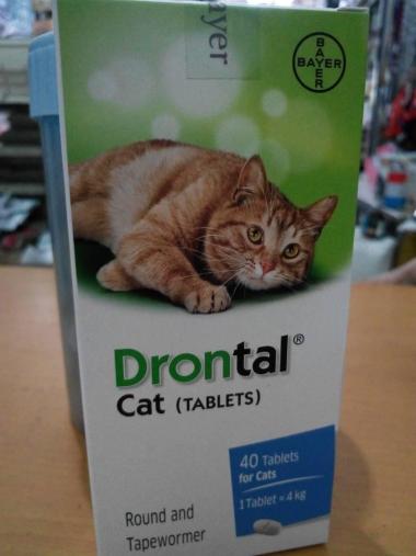 Drontal Cat