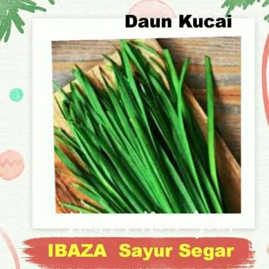 DAUN KUCAI Sayur Segar IBAZA fruitsBOX - 1 ikat
