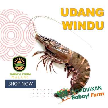 Udang Windu 250 500 gram / 1 kg 500 gram