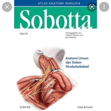Sobotta Edisi 24