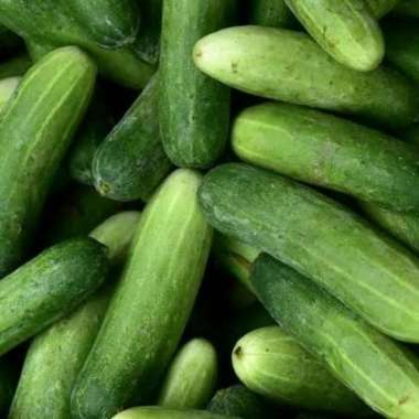 Timun Ketimun Mentimun 1000 gr / 1 kg