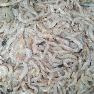 Udang Segar fresh segar kecil/sayur - 1/2 kg