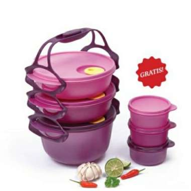 carry all bowl tupperware Multicolor