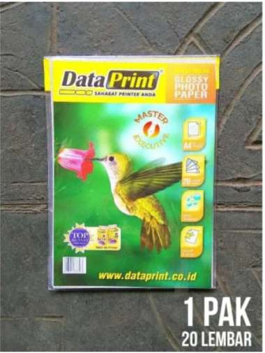 data print glossy photo paper 180 gsm a4 / dp-gp-180-a4 dataprint Multicolor