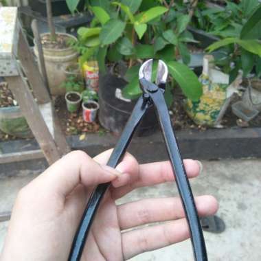 catok bonsai miring lokal 25 cm catok miring Multicolor