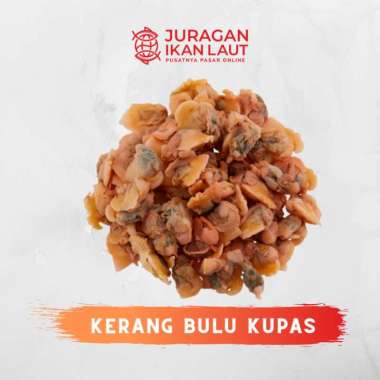Kerang Bulu Kupas Segar Fresh Berkualitas - 1 Kilogram