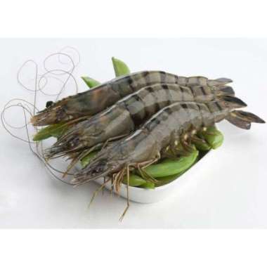 Udang Pancet / Windu Jumbo Segar Fresh Berkualitas Isi 12 ~ 15 [1 Kg]