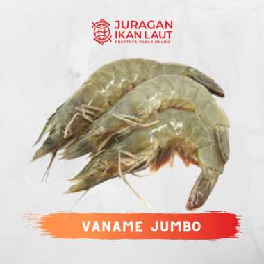 Udang Vaname Jumbo Size 30/39 - 1 Kilogram