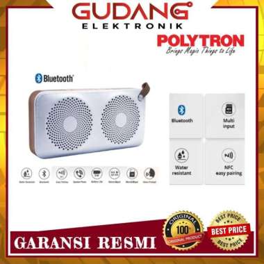 Polytron MUZE PSP B2