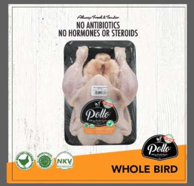Ayam Utuh Pollo Probiotik 900gr - 1 kg 900gr