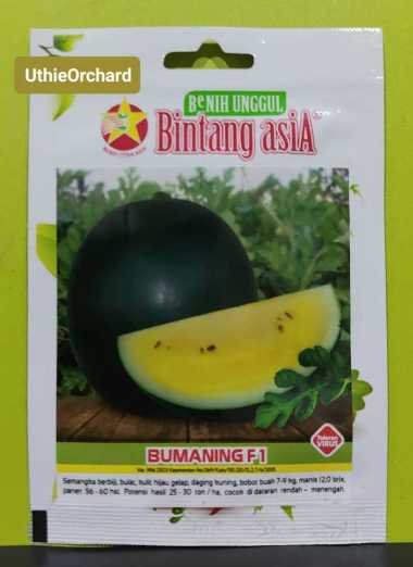 Benih Bintang Asia - Semangka Kuning Bumaning F1 Kemasan 2 gr