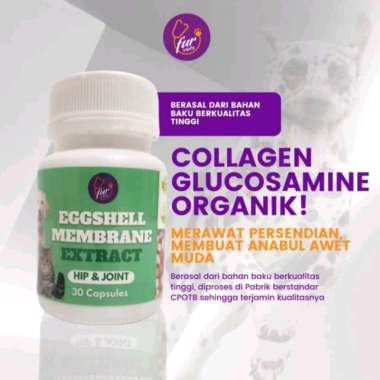 EGGSHELL MEMBRANE EXTRACT COLLAGEN FOR DOG CAT 30 TB