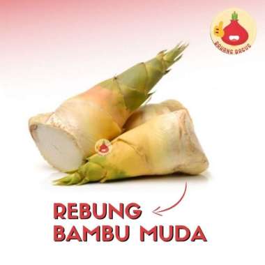 Rebung Bambu Muda 1pcs -+500Gram - Bawangbagus