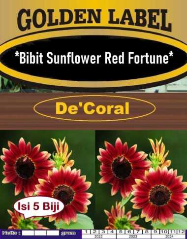 Bibit Bunga Sunflower Red Fortune | Bibit Bunga Matahari Merah