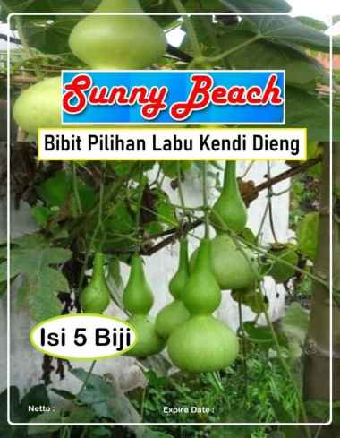 Bibit Pilihan Labu Kendi Dieng|Biji Benih Labu Kendi Dieng|Labu Botol