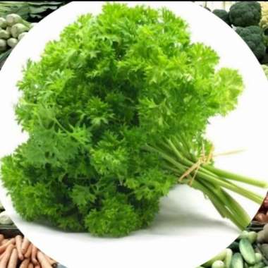Persley /Peterseli Segar 100Gram