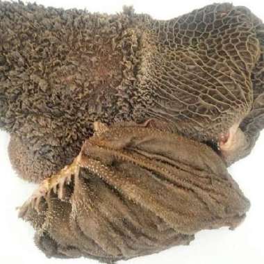 Aneka Babat Babad sapi Jeroan Babat Handuk / Babat Tawon / Babat Jarit 1 kg