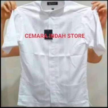 kemeja alisan koko lengan pendek.... Multicolor