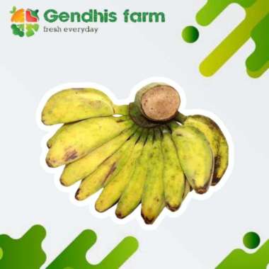 Pisang kepok [1 sisir]