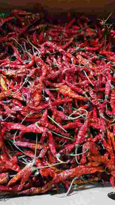 CABAI KERING/CABAI MERAH KERING ( isi 100 gram dan 250 gram) 100 gram