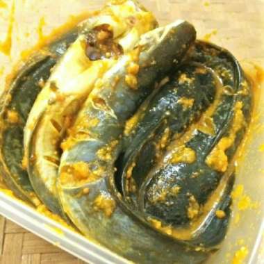 Ikan Lele Bumbu Kuning Siap Masak - 1 Kilogram
