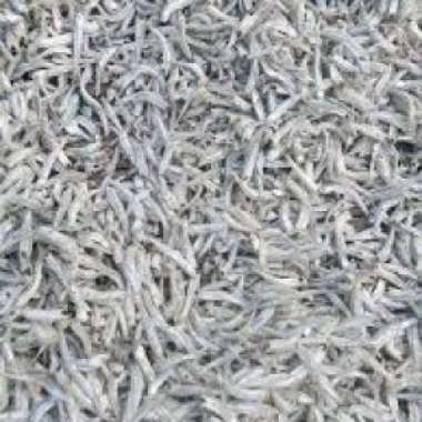 Teri Lampung Asin Berkualitas - 100 Gram